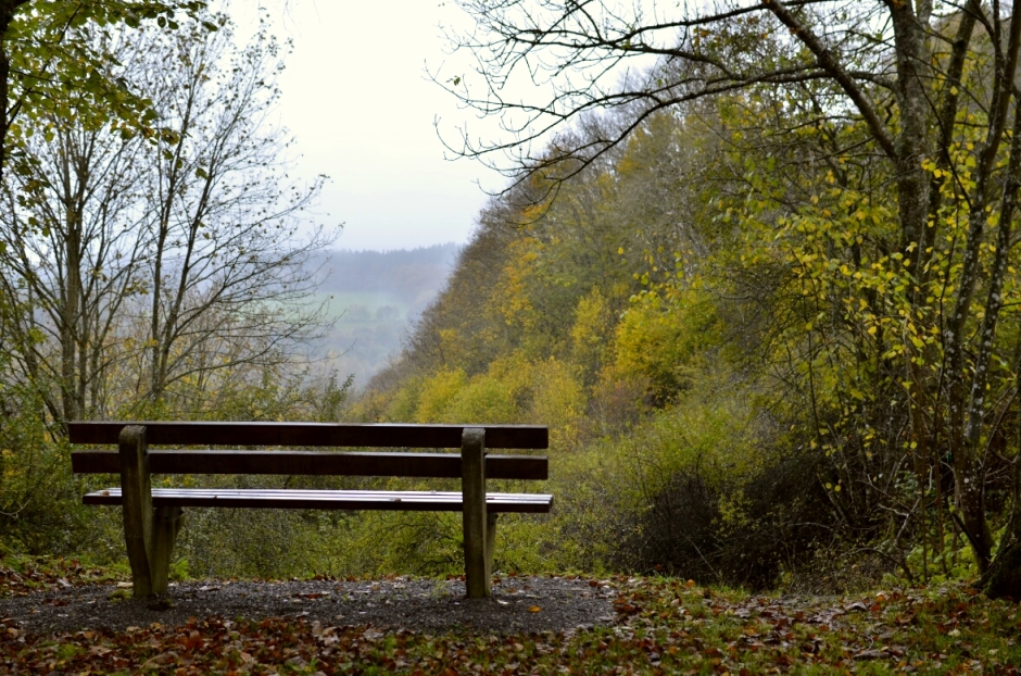 _dsc4366_edit