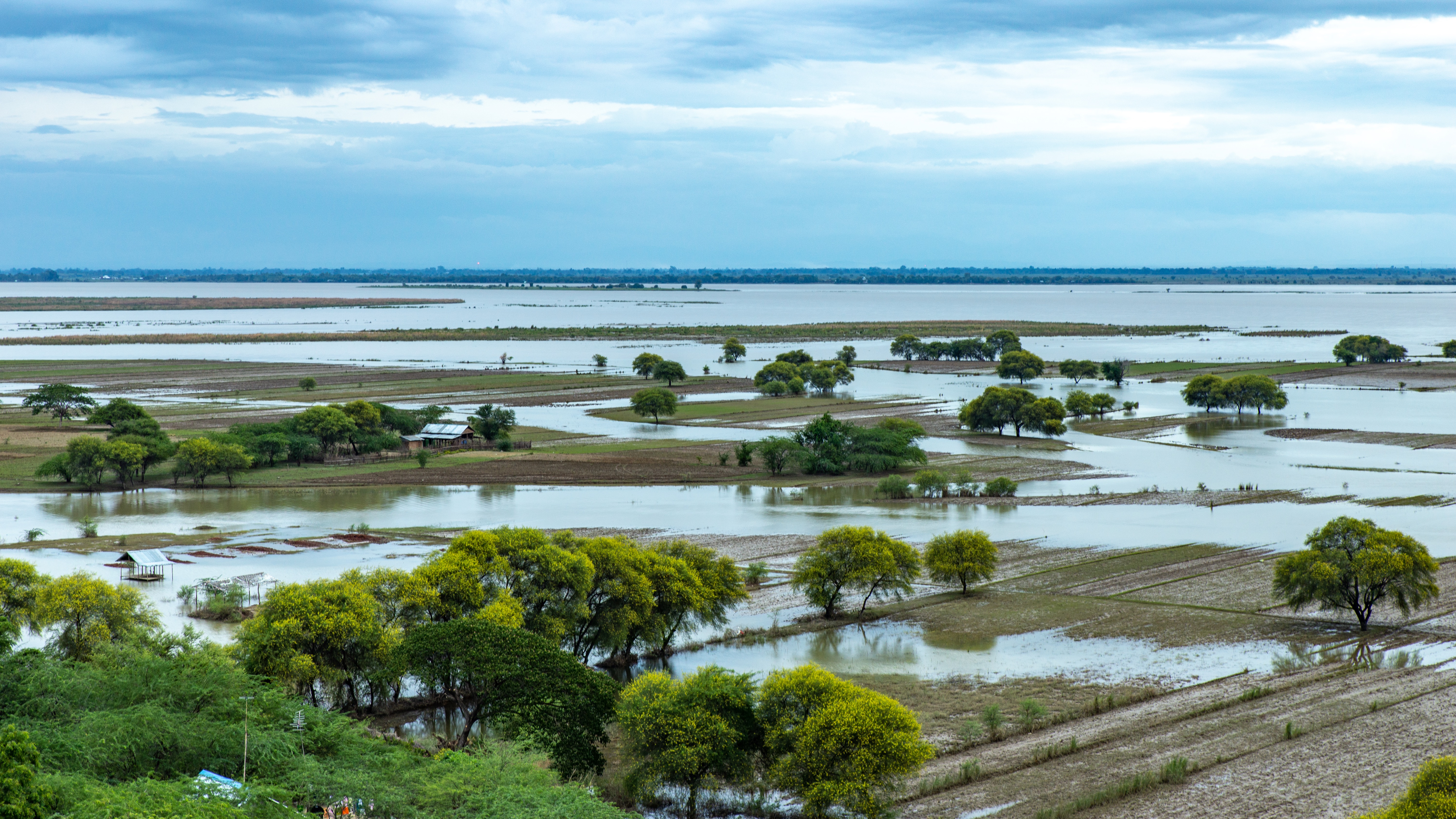 Schorpioenen in Yenangaung