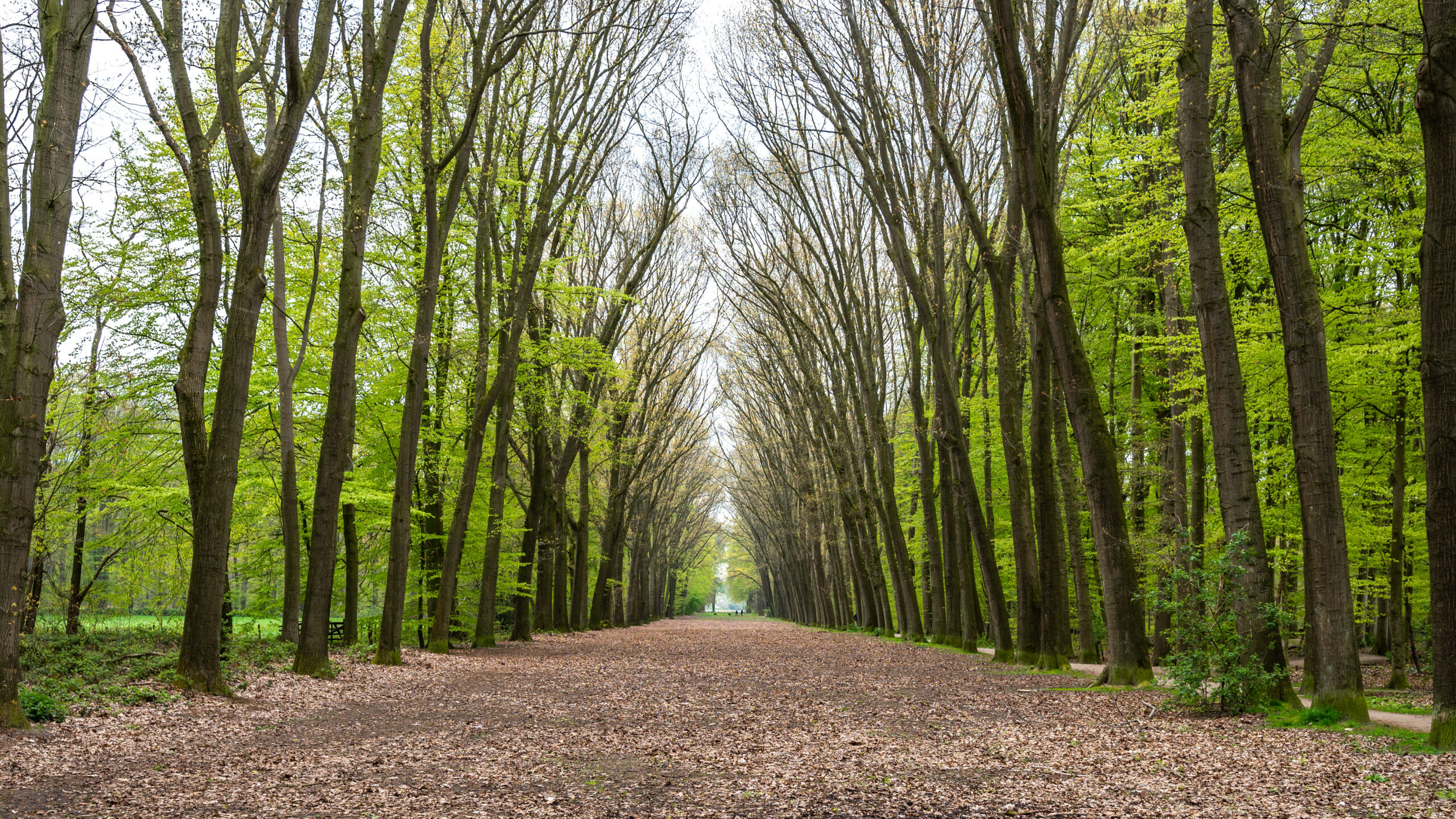 Pieterpad – Etappe 14