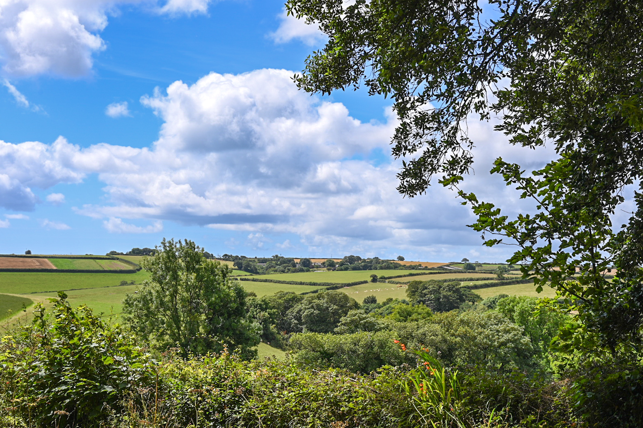 The Lost Gardens of Heligan