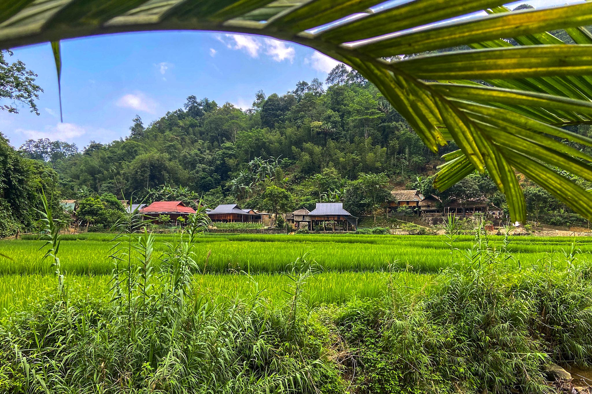 Trekking in Pu Luong