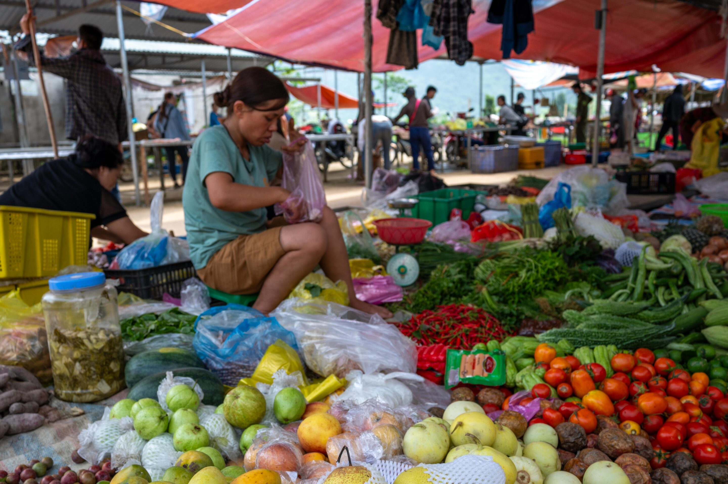 Terug naar Hanoi